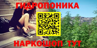стаф Будённовск