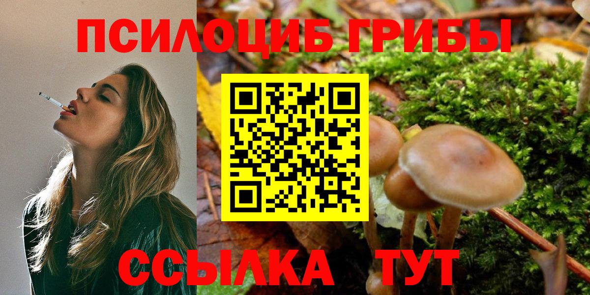 продажа наркотиков  Вход с VPN  Галлюциногенные грибы прущие грибы  Мирный  Галлюциногенные грибы прущие грибы 